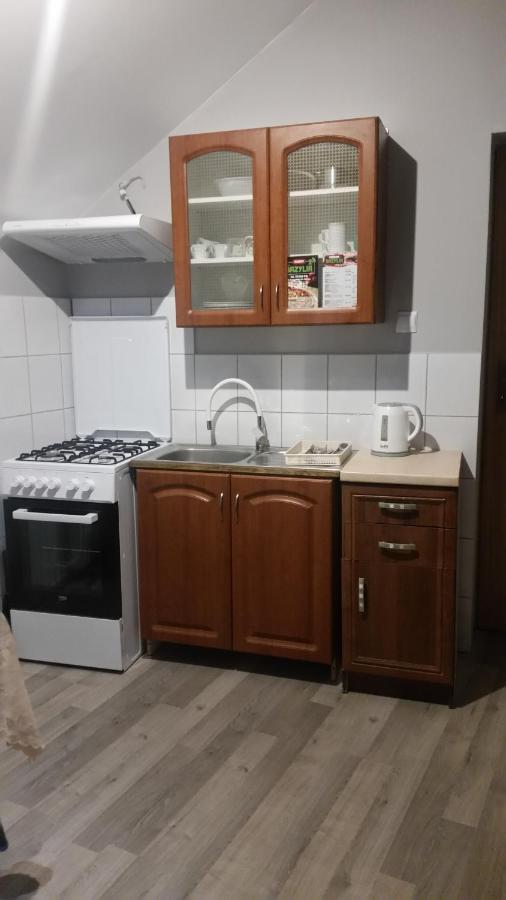 Pokoje Goscinne "U Karola" Pracownicze Ścinawa Екстериор снимка